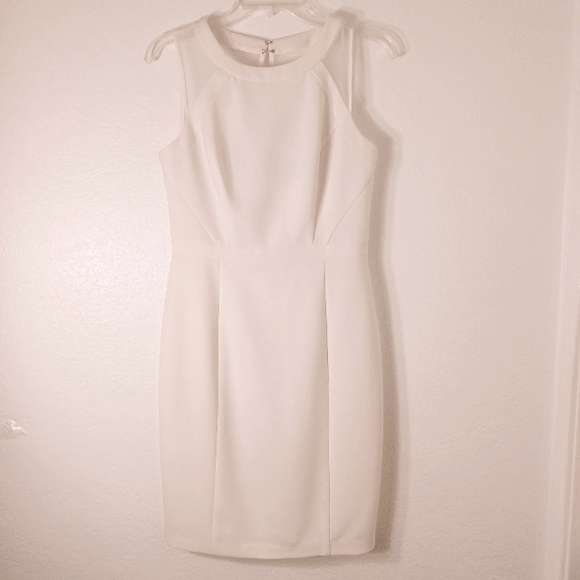 White House Black Market Sleeveless Mesh Iconic White Sheath Dress Size 4 - Picture 7 of 14